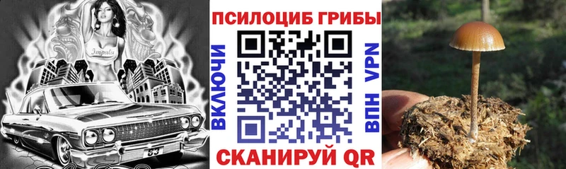 Галлюциногенные грибы MAGIC MUSHROOMS  Новая Ладога 