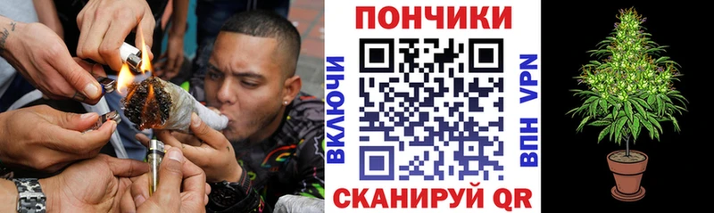 Конопля AK-47  mega ONION  Новая Ладога 